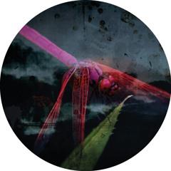 Arkada 005