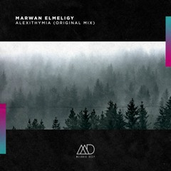 FREE DOWNLOAD: Marwan ElMeligy - Alexithymia (Original Mix) [Melodic Deep]