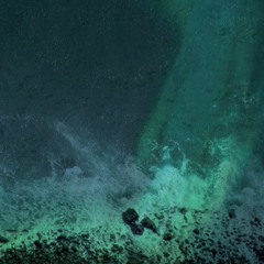 Return To The Wild - FLØR