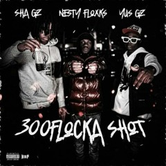 Yus Gz & Sha Gz & Nesty Gzz — 300FLOCKA SHOT