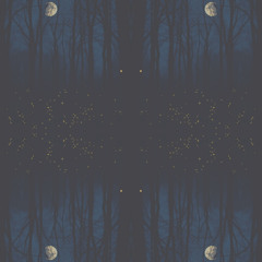 Longing in the Night