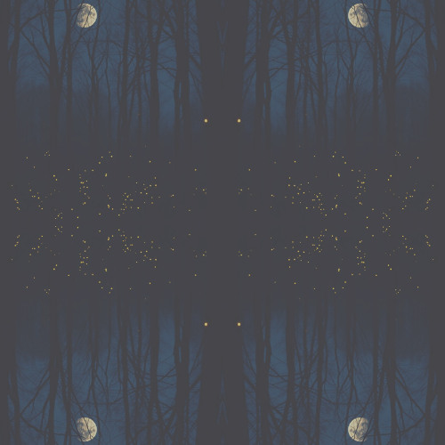 Longing in the Night