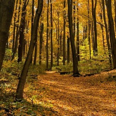 Walking Along (featuring Laura G.)