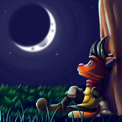 Night of Enjoyment