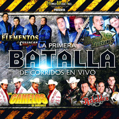 Los Alegres Del Barranco, Los Canelos de Durango y Mas