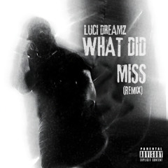 Lucidreamz - What Did I Miss (Remix)