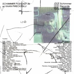 Schimmer Podcast #036 with Kaan Pirecioglu