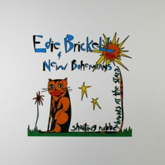 SRBATS - Edie Brickell & New Bohemians