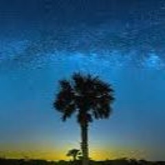 Summer Mix (2020 Live Mix)