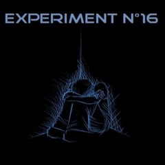 2018 - Experiment 16