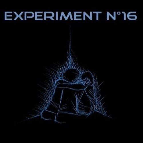 2018 - Experiment 16