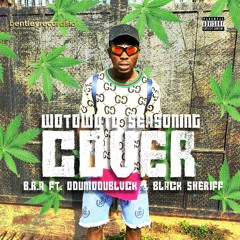 WOTOWOTO SEASONING COVER