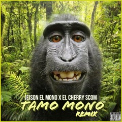 Tamo Mono (Remix)