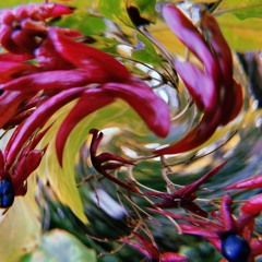 EYES (SGWR/56 remix)