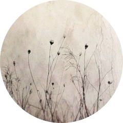 Brumes, larmes et verre pilé