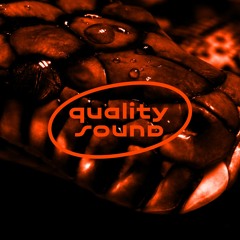 Quality Sound In The Mix 4 (Slizzy Mix)