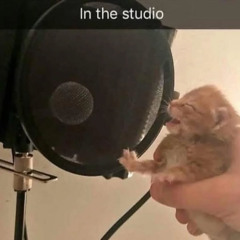 02.- DIRECTOR'S CUT DEMO