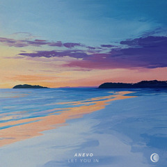 Anevo - Let you in
