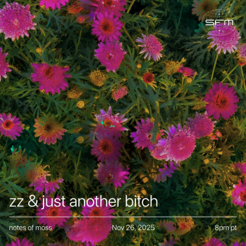 notes of moss 02: just another bitch, zz