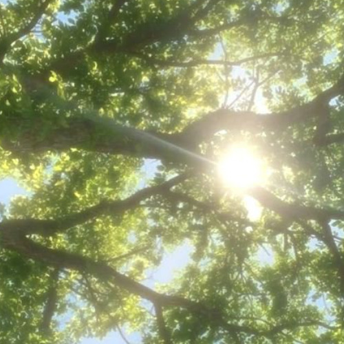 Mom - 3 - 03 Bloodeater