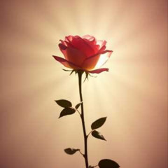 Dj.DamianR -  Saint Rita – The Rose of Cascia