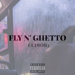FLY 'N GHETTO