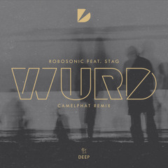 WURD (CamelPhat Extended Remix) [feat. STAG]