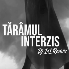 The Urs - Taramul Interzis ( Dj.IsI Remix )