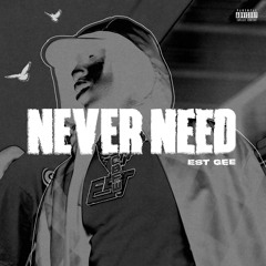 NEVER NEED (feat. Selfpaid Savage)