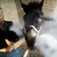 DEFGASH, SouthSideMan - I HATE BRAZIL