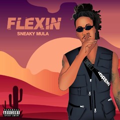 Flexin