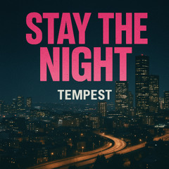 Stay The Night
