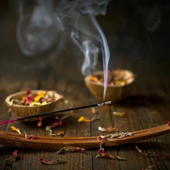 Мишель Кашель