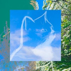 sky kitten