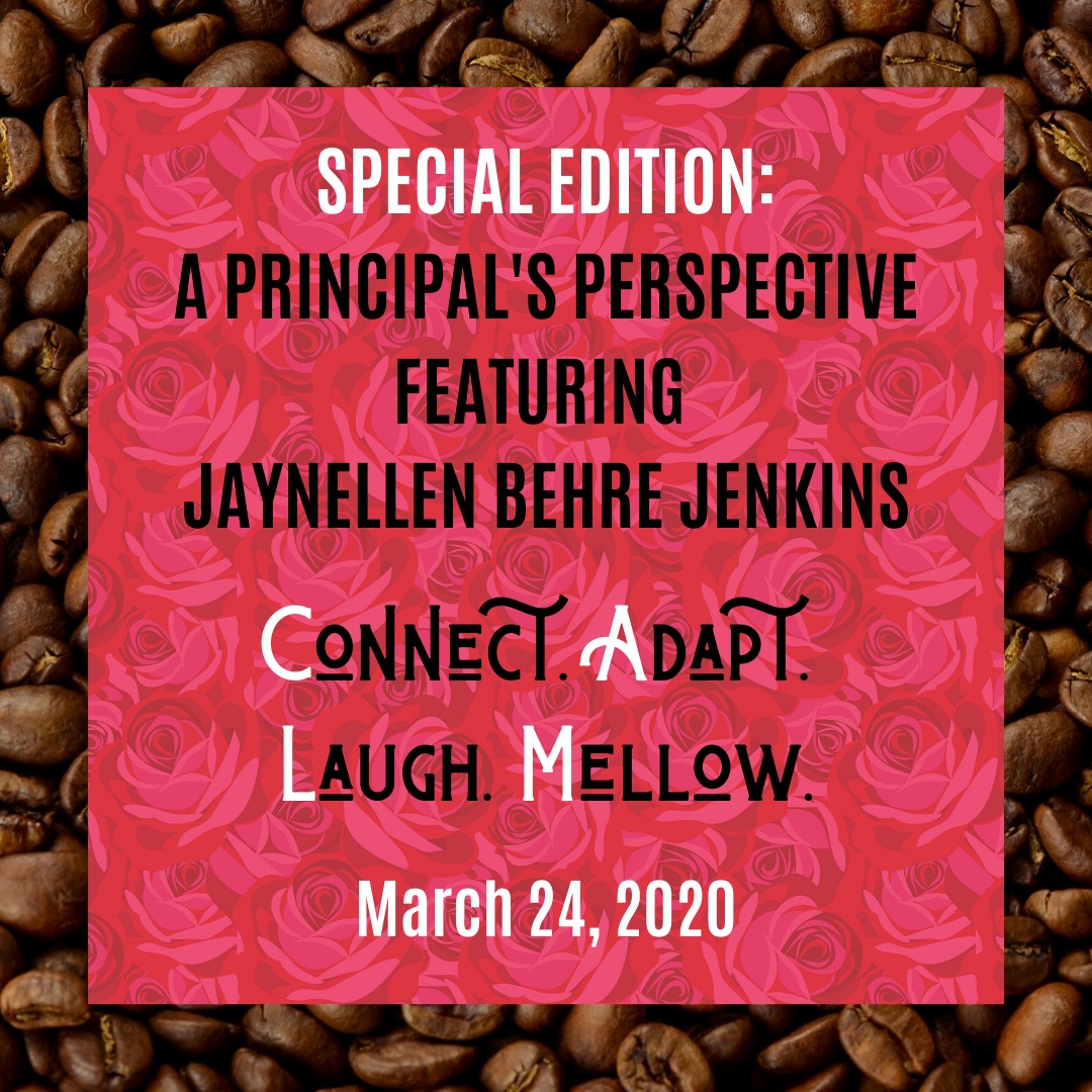 SES1E4: A Principal's Perspective with Jaynellen Behre Jenkins (From the IP Archives) episode artwork