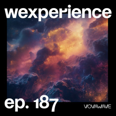 WExperience #187
