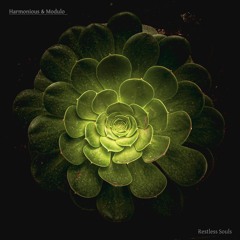 Free downloads