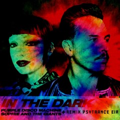 Purple Disco Machine, Sophie and the Giants - In The Dark (Remix Psytrance EIR) Free Download