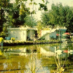 Killn tha vibe (dem)