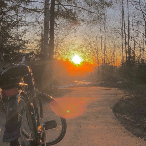 something in the orange (cover)