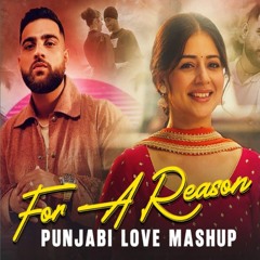 For A Reason X Punjabi Love Mashup 2025