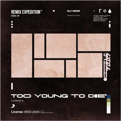 Jamiroquai - Too Young To Die (DJ-GOM Remix)