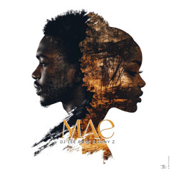 Dj Lee ross x Tony Z - Mae