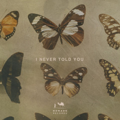 I Never Told You (Extended Club Mix)