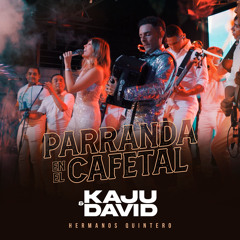 Parranda en el Cafetal