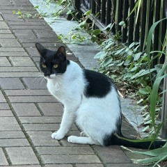 WORKROOM (SOMYO 소묘)