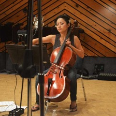 Allegro Appassionato (With Cellist Tina Guo)