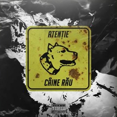 CASHFLOW23 - Caine Rau