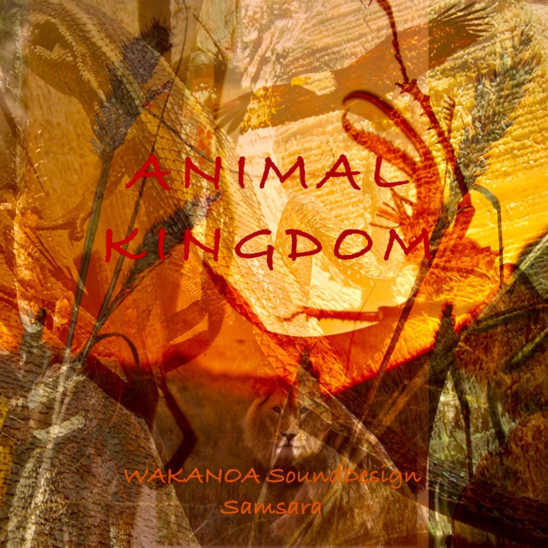 ANIMAL KINGDOM DISCOVERY