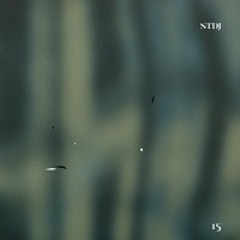 nunsen·tape 15 - STDJ
